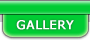 pomidor_galeria